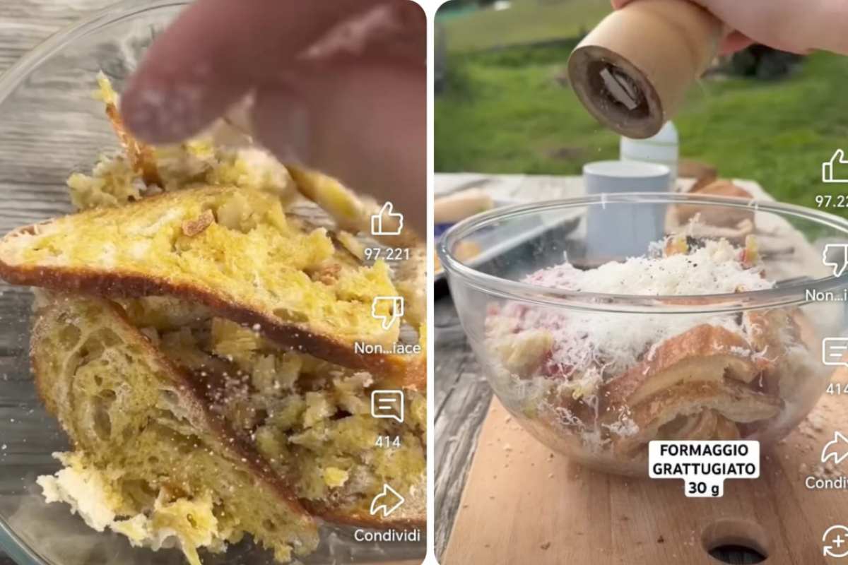 pane e ingredienti in contenitore