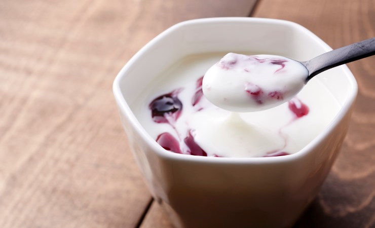 yogurt