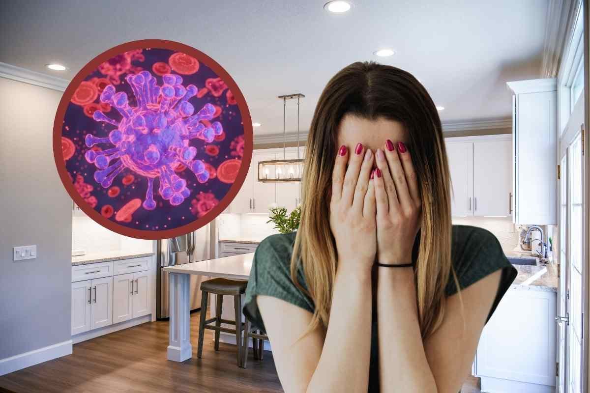Donna con mani sul volto in cucina e parassiti