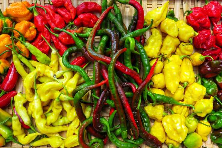 peperoncini
