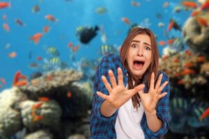 Il pesce più brutto del mondo vince un titolo
