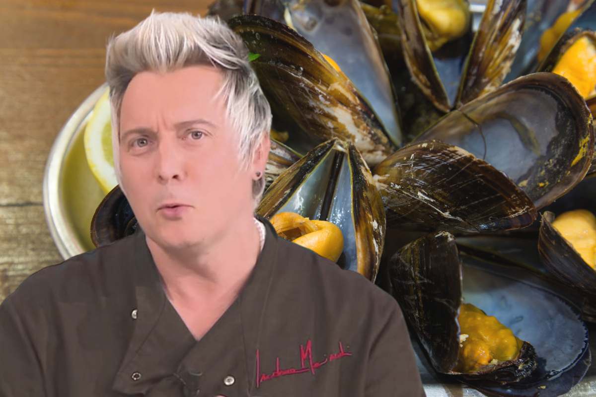 andrea mainardi- cozze