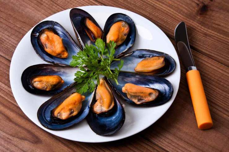Cozze nel piatto