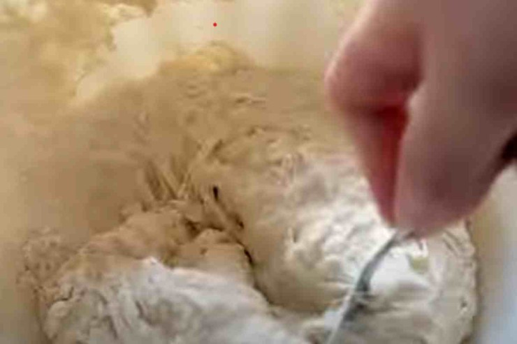 impasto per pizza