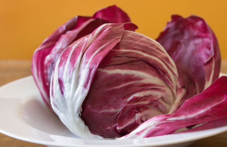 radicchio a scolare