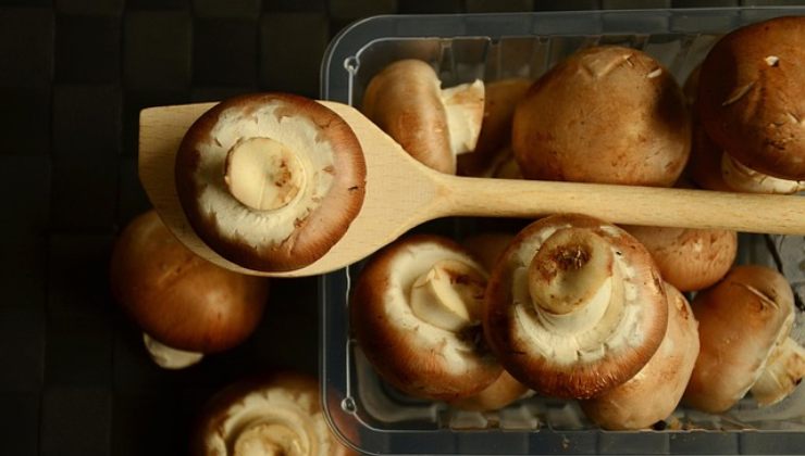 Vaschetta di funghi con cucchiaio in legno