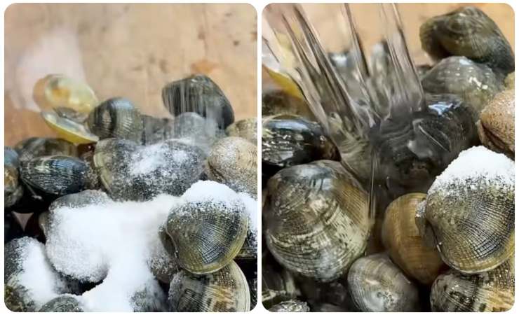 vongole in acqua e sale