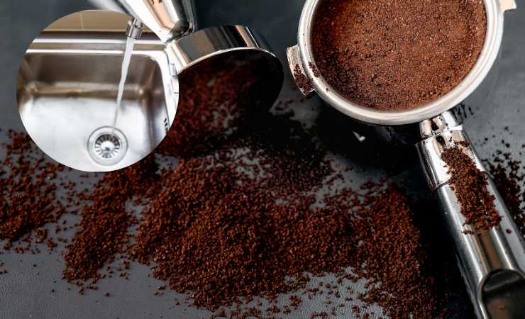 fondi del caffè