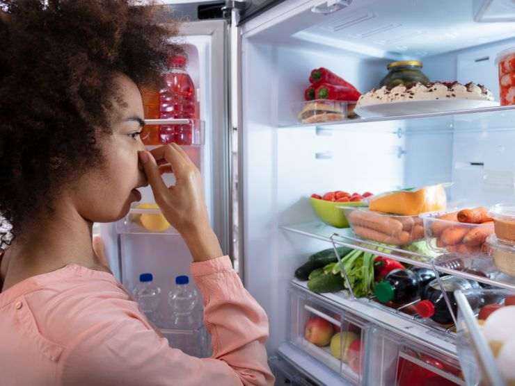 donna che si tappa il naso per i cattivi odori nel frigo