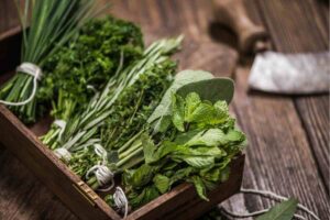 mazzetti di erbe aromatiche