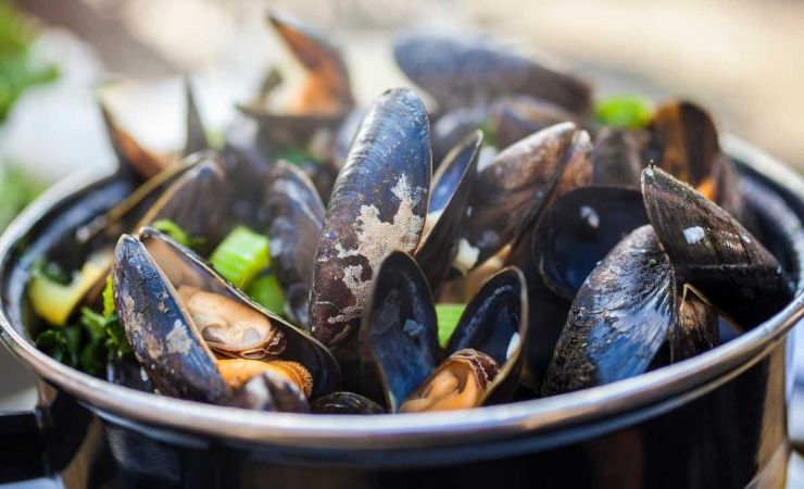 Cozze