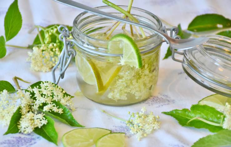 infuso fiori sambuco e lime in vasetto