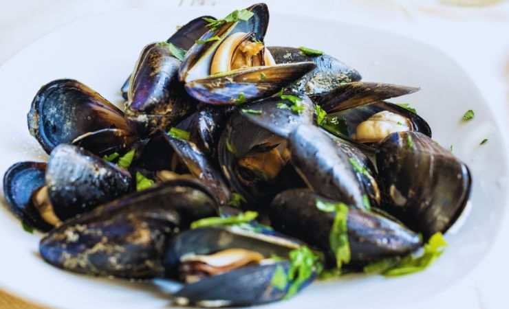 impepata di cozze