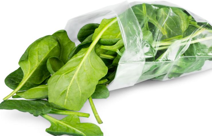 insalata in busta 