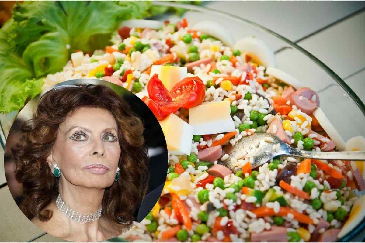 Insalata di riso, Sophia Loren