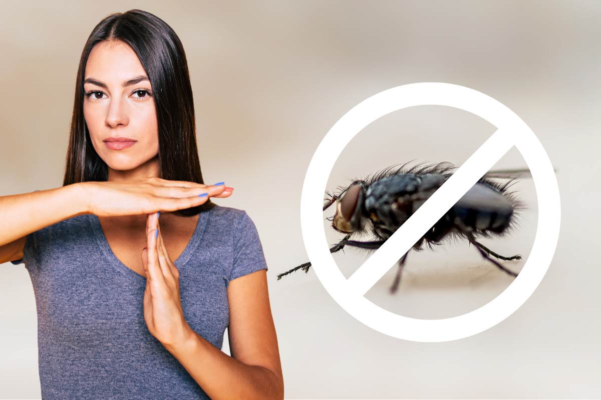 mosca donna gesto stop