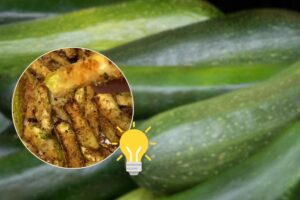 Zucchine crude e impanate