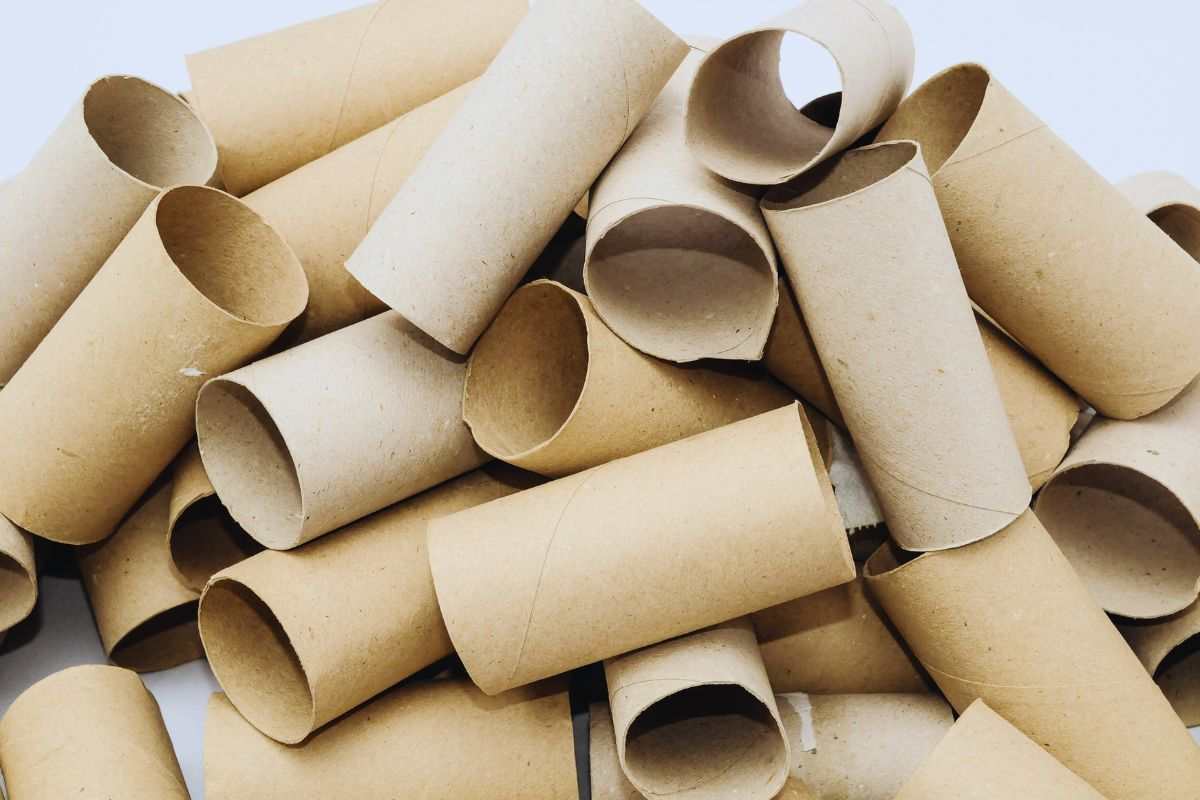 vari rotoli di carta