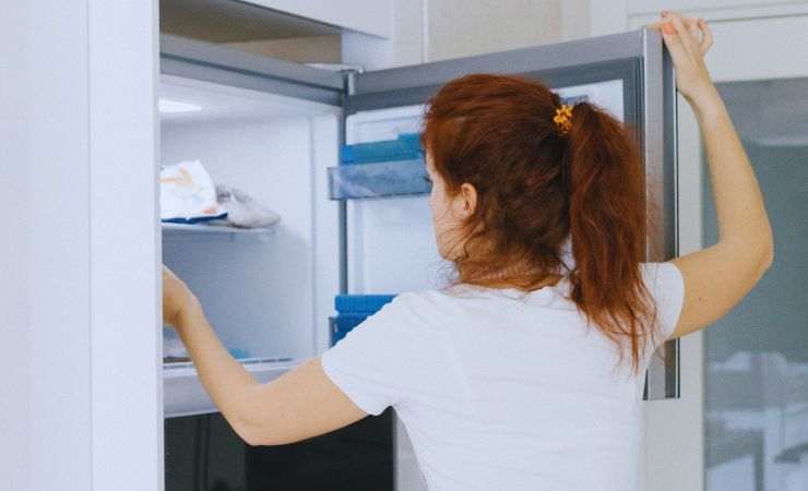 ragazza mani nel congelatore