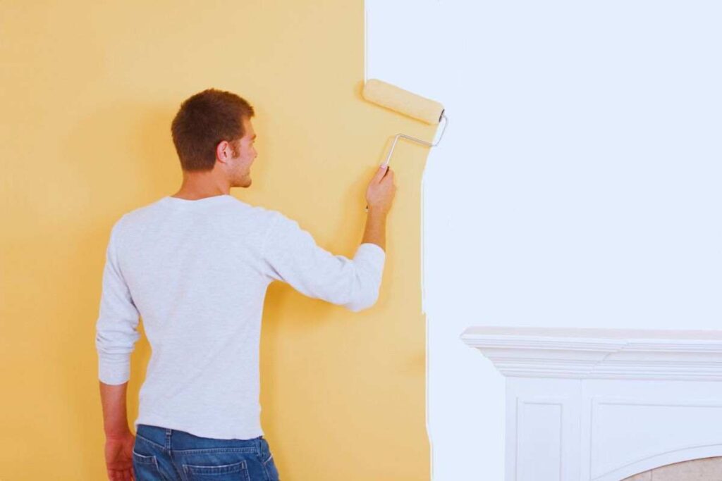 ragazzo con rullo tinteggia la parete