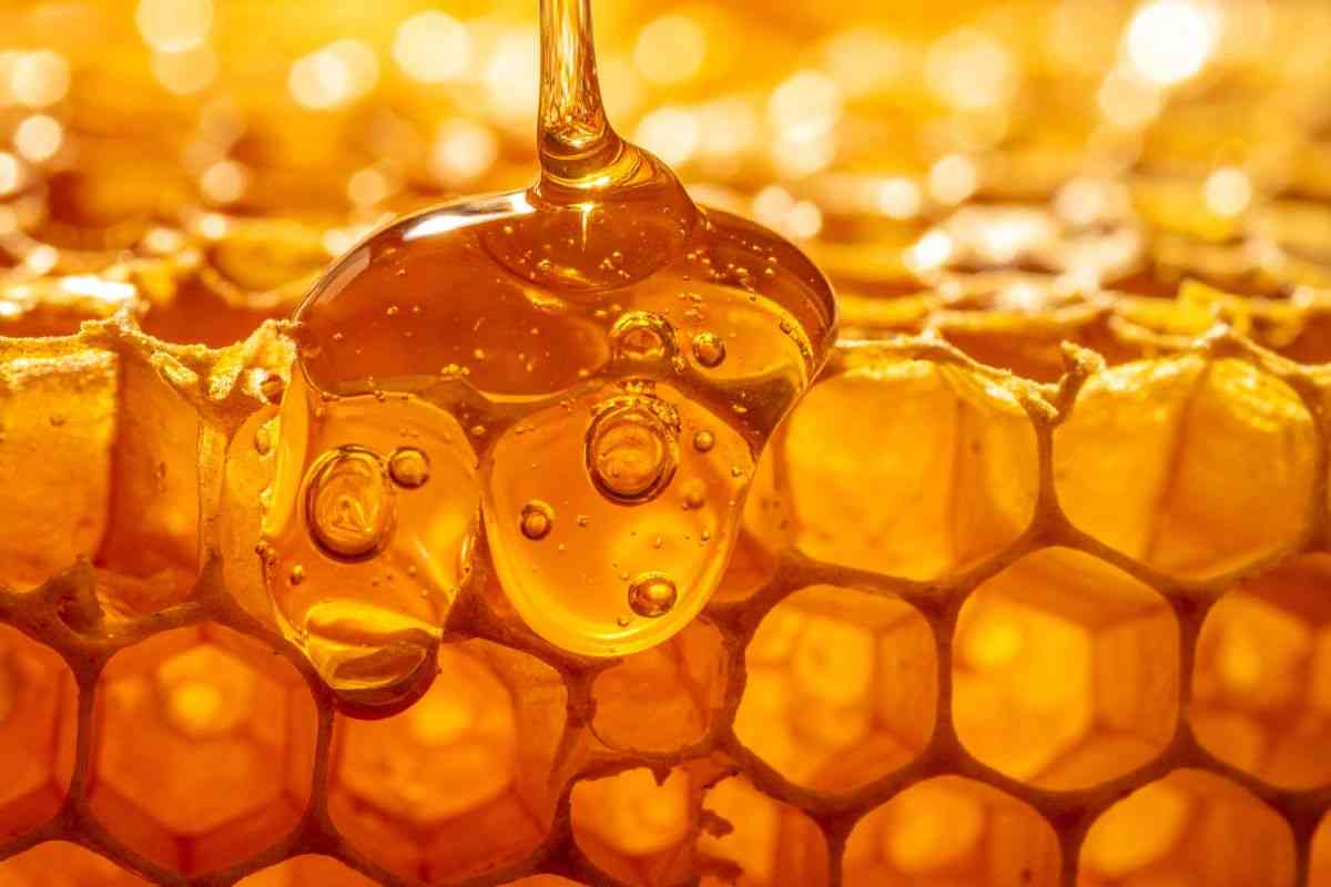 Quanto costa davvero (e perché il prezzo è così alto)